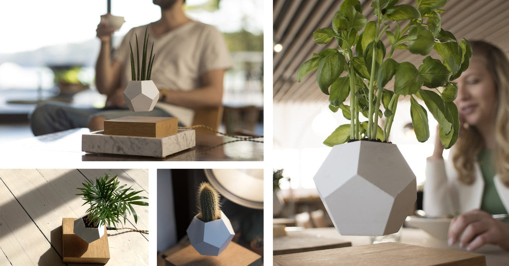 LYFE - Planter - BB InteriorHourluxFLYTE