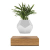 LYFE - Planter - BB InteriorHourluxFLYTE