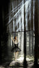Photographic Print Dibond by Fieke van Dieren Ballerina 01 - BB InteriorFieke van DierenPhotographic Print